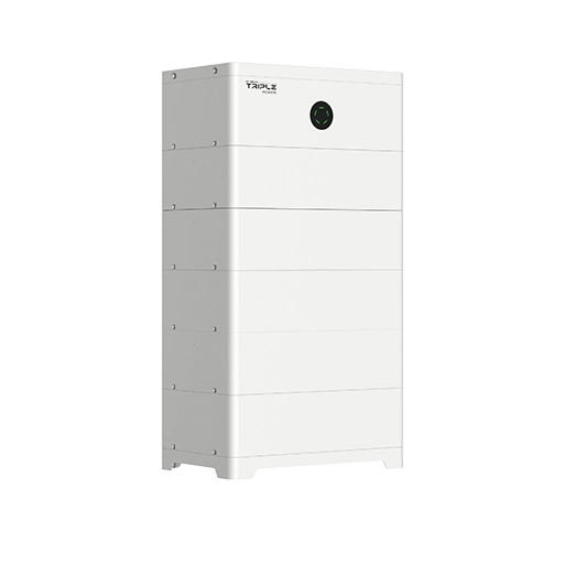 SolaX HS51 BMS (TBMS-S51-80)