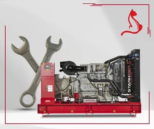 Starkgen SGT-55MX 55kVA Jeneratör (Ses İzolasyon Kabinli/Otomatik Transfer) 
