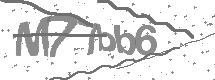 Doğrulama Kodu